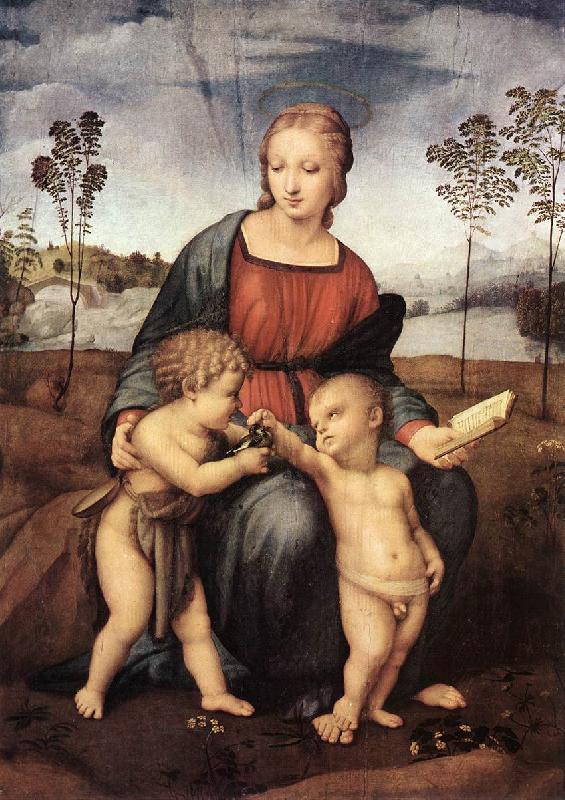 RAFFAELLO Sanzio Madonna del Cardellino ert oil painting picture